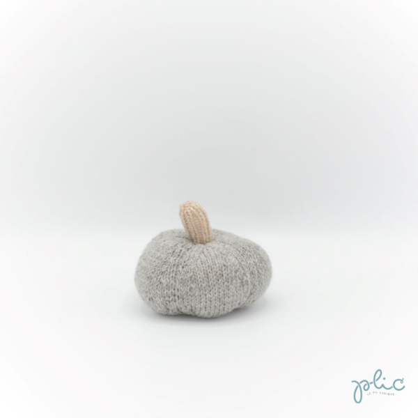 Dînette : potiron moyen – Image 3