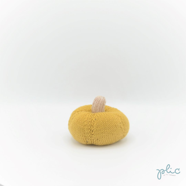 Dînette : potiron moyen – Image 4